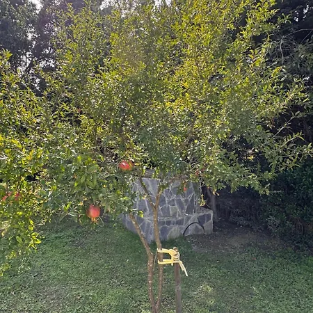 White House - Private Garden Büyükçekmece
